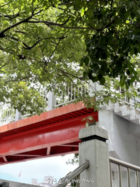 雨後的東興公園和天橋