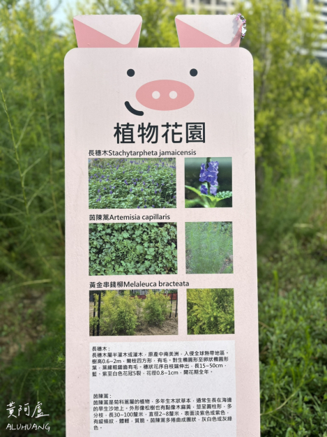 植物花園