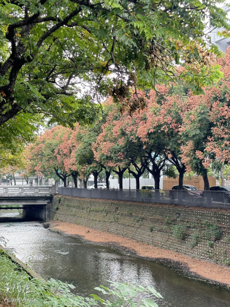 水面飄著果乾