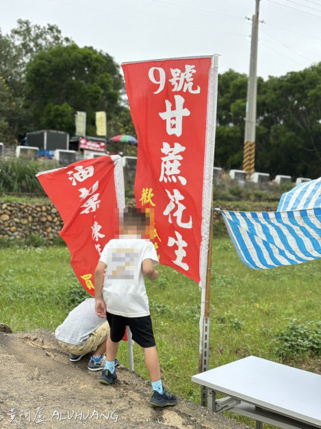 吃完花生後的哥哥也來幫忙