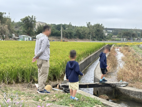 大家都輕鬆走過去了（除了我）