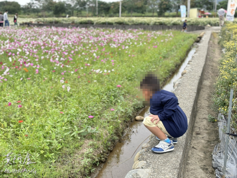 他想看小水溝裡有什麼東西