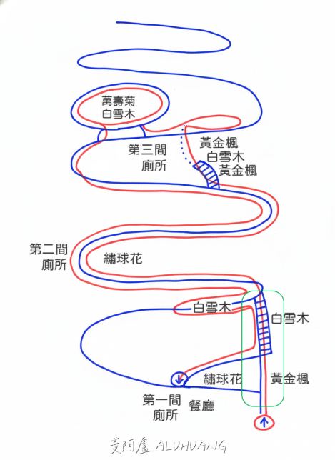 黃金楓與白雪木階梯