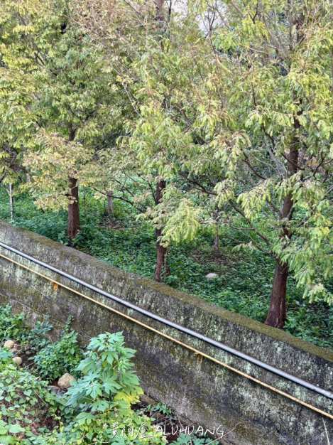 去年的同角度再來一張