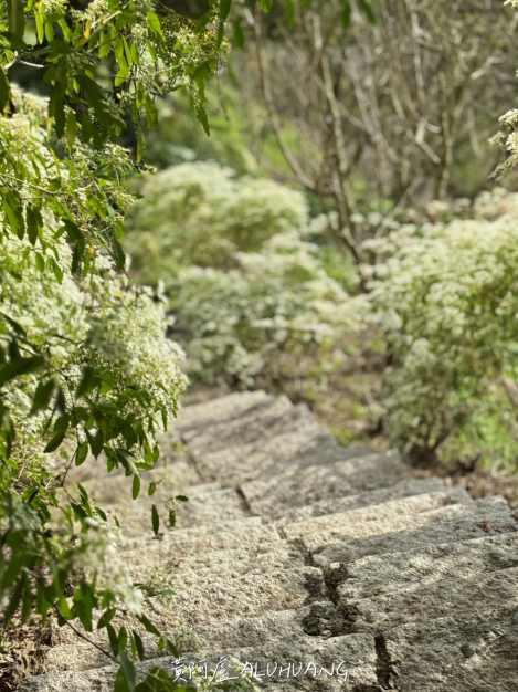 回頭看小岔路一下