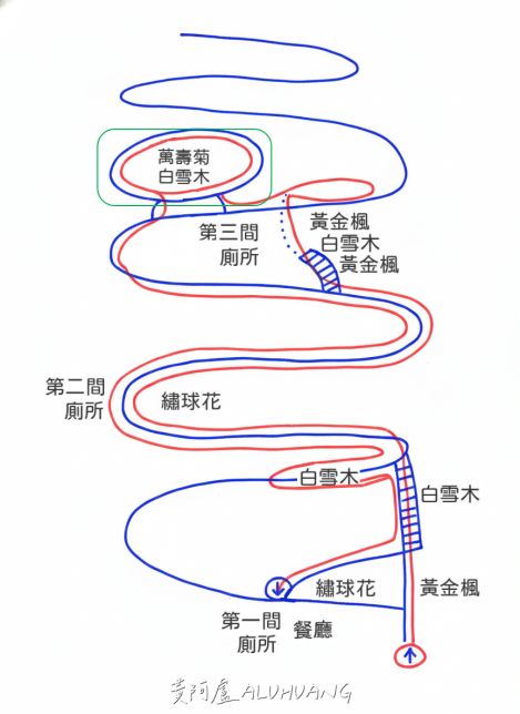 超大片的白雪木、萬壽菊、樟樹