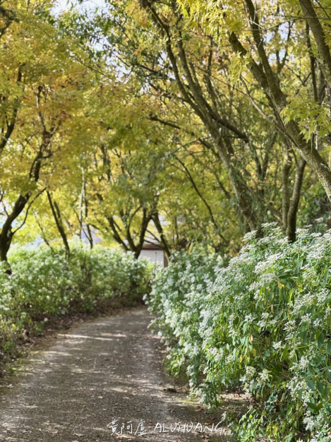 盡頭是第三間廁所